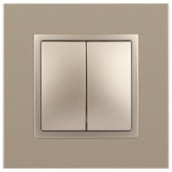 14-1104-04 ЭРА Выключатель двойной, 10АХ-250В, IP20, Эра Elegance, шампань