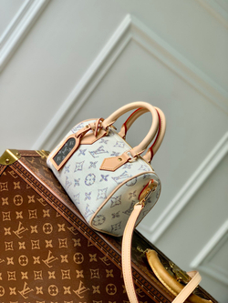 Louis Vuitton Speedy 20