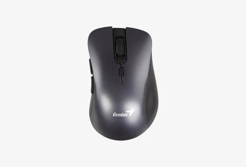 Мышь радиоканал Genius Genius Ergo 8100S серый