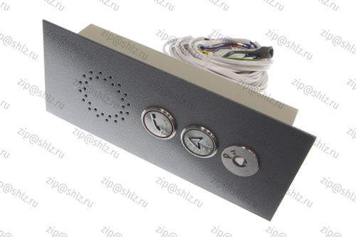 Пост вызывной в сборе с ключом, белая подсветка, крашеный RAL9022, ПЛВ14И-К1А1101ЩУ3П, 0502.12.00.300С-03