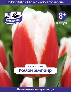Тюльпан Луковица, Роман Эмпайр, 8+ шт
