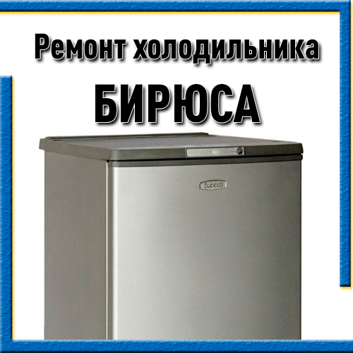 Ремонт холодильников Бирюса на дому Казань