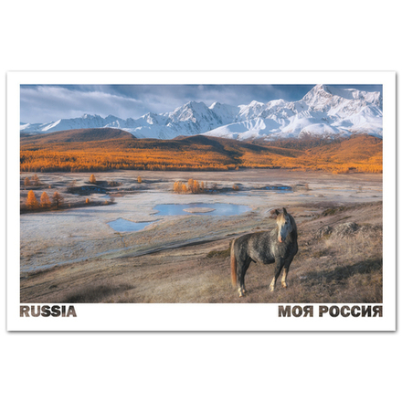 Окрестности озера Джангысколь. Урочище Ештыкель, Алтай