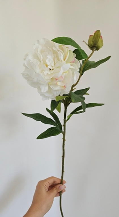 Пион / Арт 2028