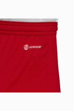 Шорты adidas Entrada 22