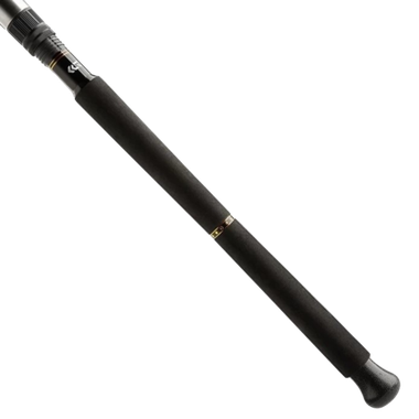 Спиннинг Daiwa BG Boat BGB -