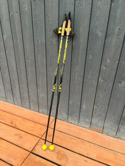 Палки Fischer Speed Max 120 см