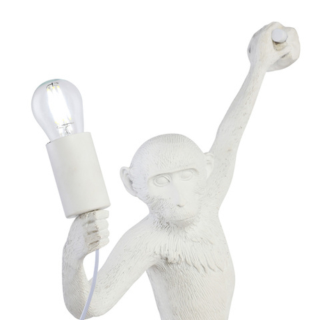 Светильник настенный Evoluce Tenato SLE115111-01