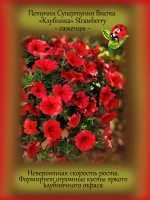 Петуния Клубника Супертуния Виста Строббери