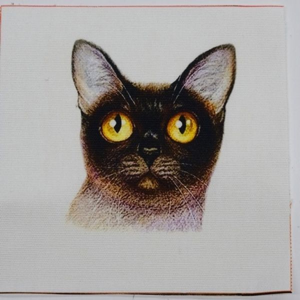 КОТИК МИНИ СИАМСКИЙ, панно, холст 12 / 12 см 1