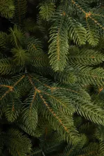 Ель искусственная "Приморская" (Литая хвоя) 210 см / 2,1 м