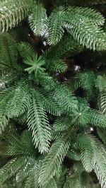 Ель искусственная «Эстер» (Литая хвоя) 180 см / 1,8 м