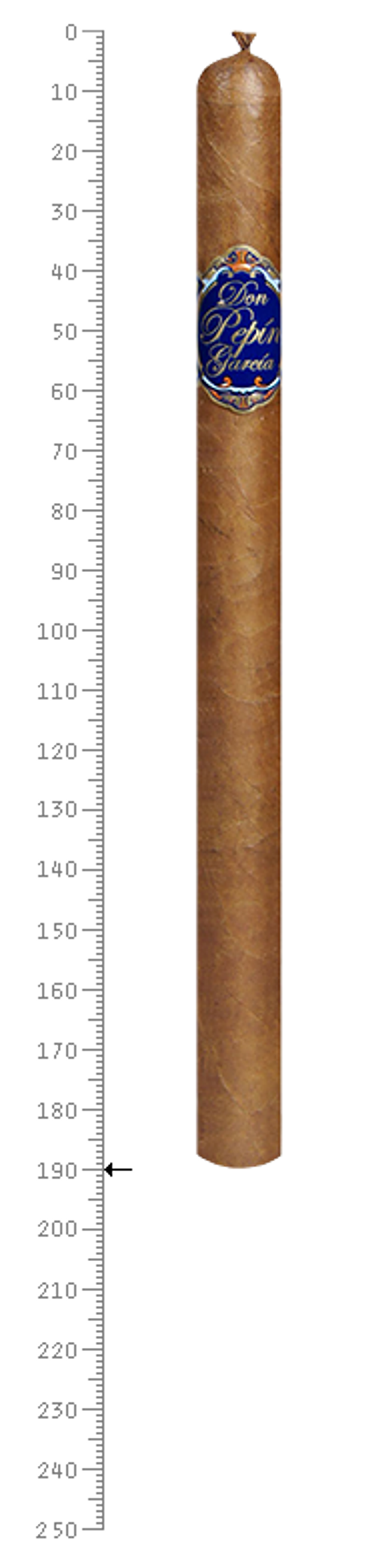 Don Pepin Garcia Blue Lanceros