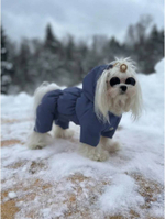Зимний комбинезон для собак с капюшоном (мальчик)