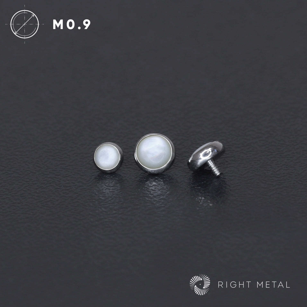 Накрутка White Shell