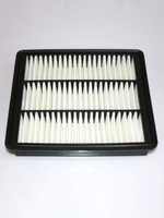 Фильтр воздушный (ОРИГИНАЛ) 1109110XSZ08A для Haval H2