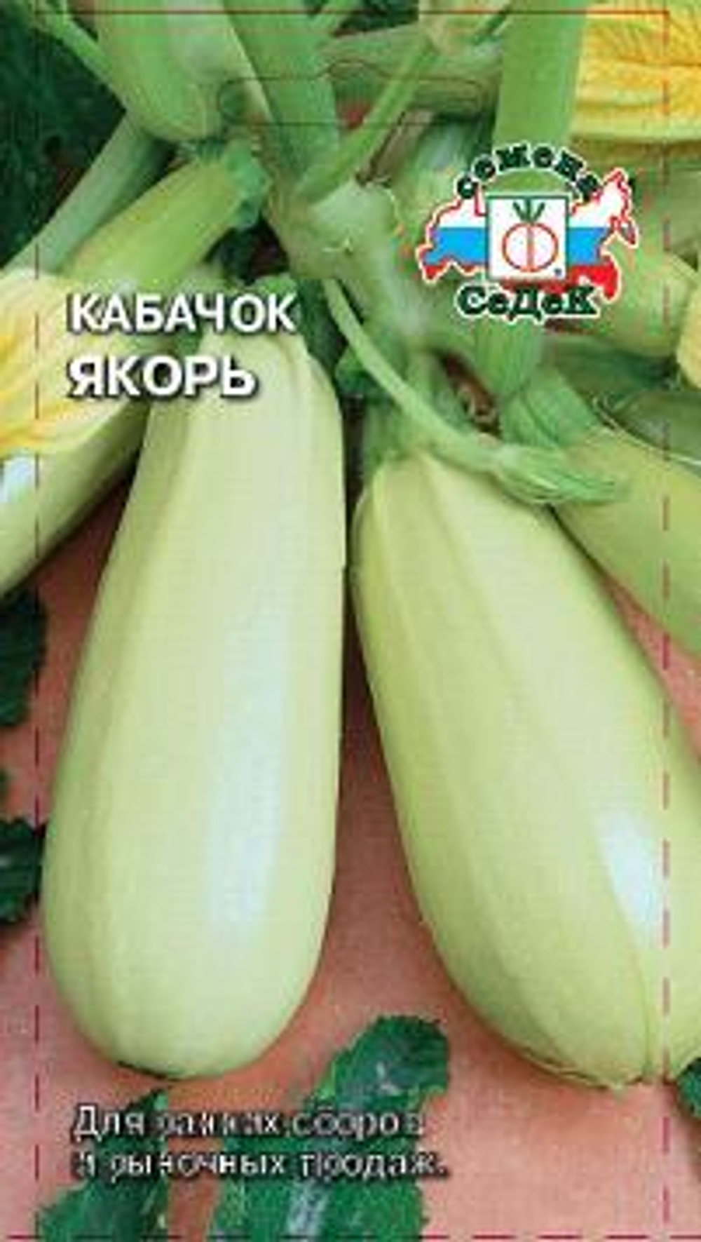 кабачок Якорь