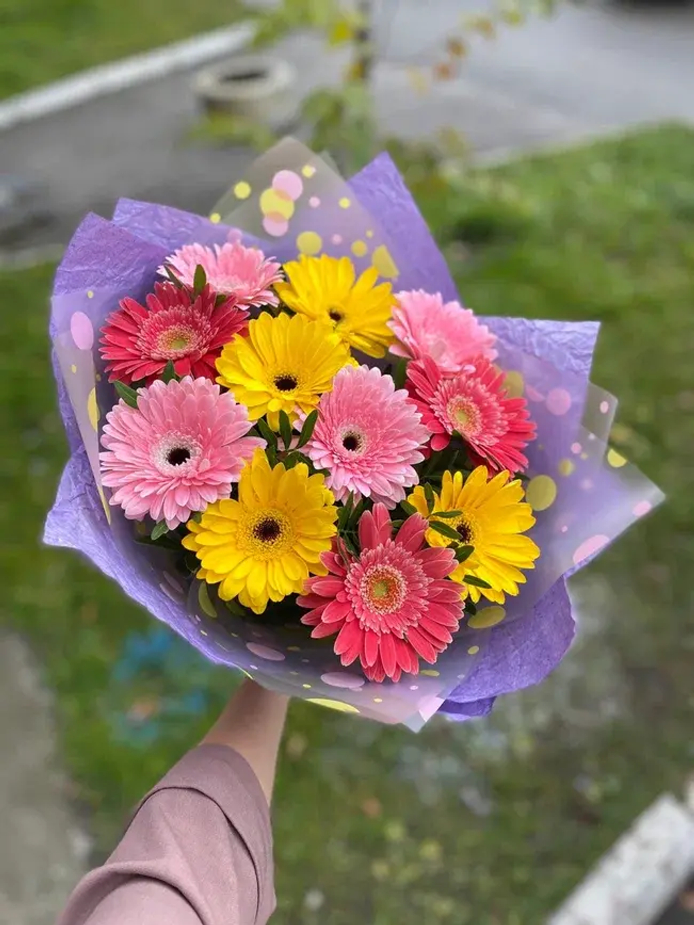 Букет из 11 гербер в пленке