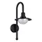 SL9512.401.01 Светильник уличный настенный ST-Luce черный/Прозрачный LED 1*10W 4000K PROCHE