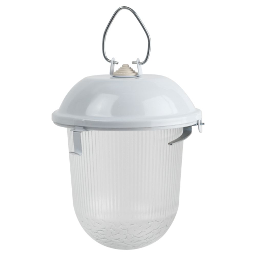 Светильник ЭРА НСП 02-100-001 без решетки Желудь сталь / стекло IP54 E27 max 100Вт 262х172 белый | Светильники НСП (Желуди)