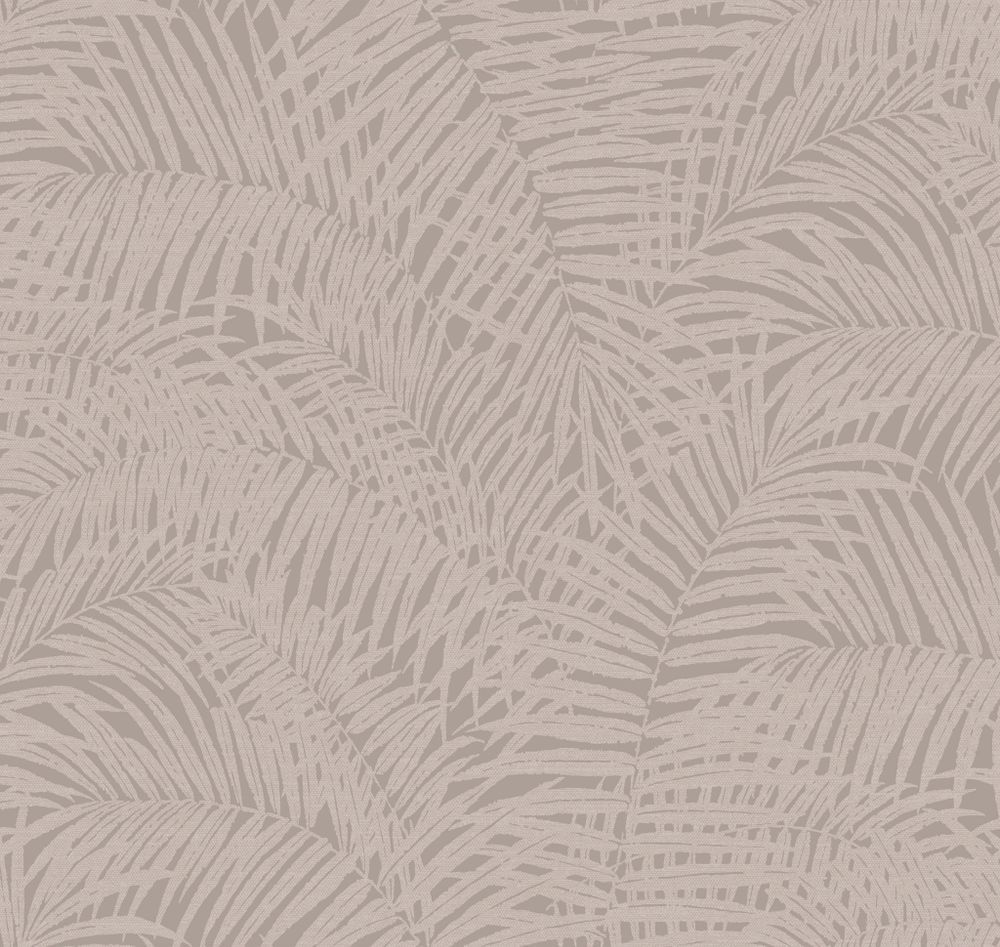 Сканди Дзен Японская пальма