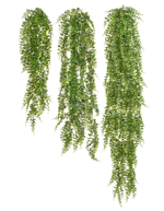 Папоротник Лесной ампельный