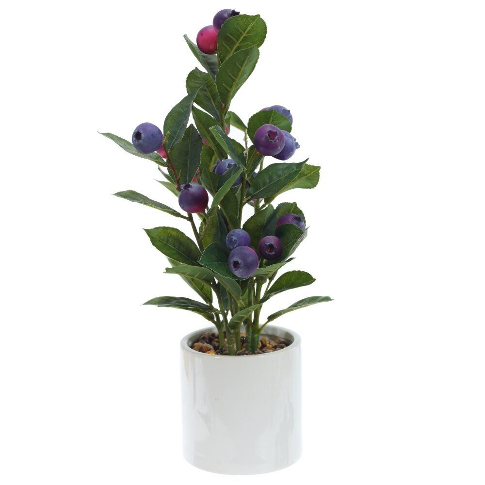 GAEM Цветочная композиция "Голубика", L20 W20 H40 см