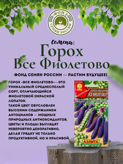 Горох Овощной, Все фиолетово, семена, 10 гр.