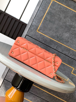 Chanel Bag (2 sizes)