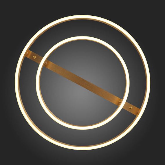 Потолочная светодиодная люстра ST Luce Onze SL944.202.02