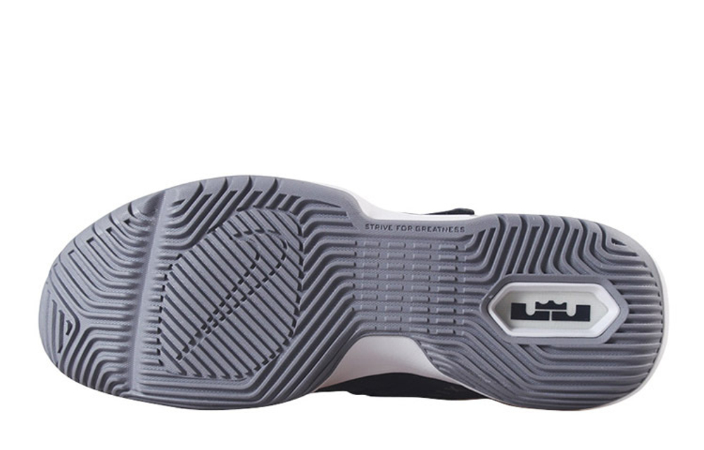 Кроссовки Nike Ambassador 12 Lebron