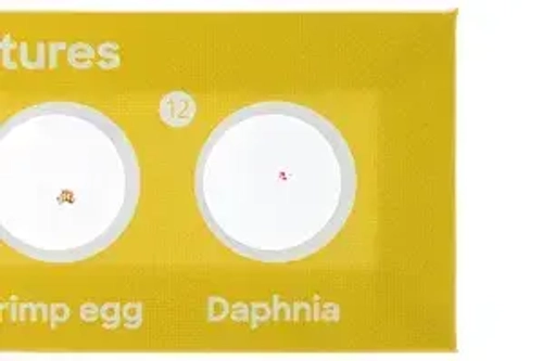 Набор микропрепаратов Levenhuk Discovery «Флора и фауна», 24 шт.