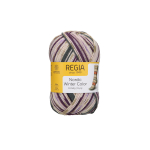 Пряжа для вязания Nordic Winter Color (03043) Schachenmayr Regia, 8 ниток (150г/300м).
