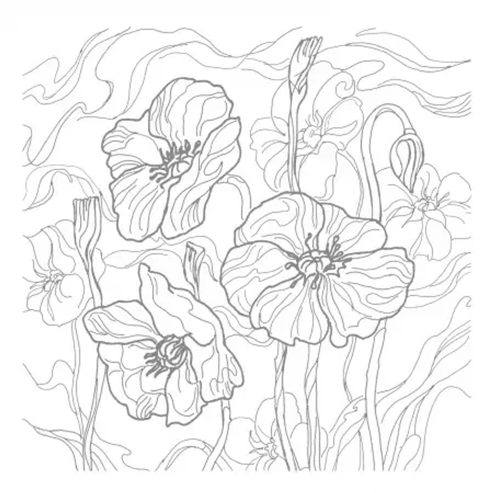 Раскраска HATBER для Акварели "Сюжеты для акварели.Чудесные цветы"