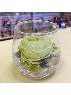 натуральный пион в стекле, вакуум*