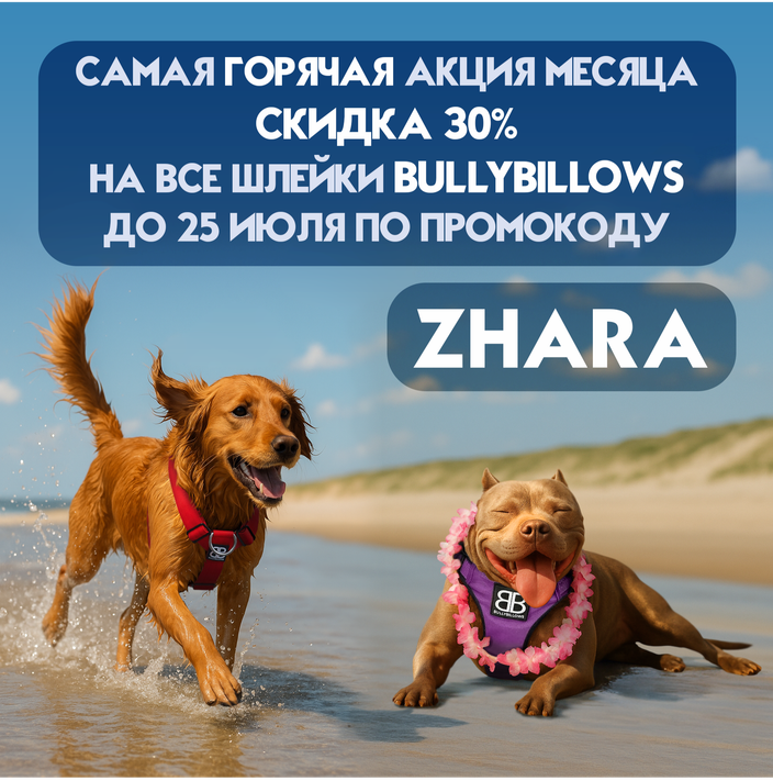Жаркая акция!