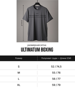 Тренировочная футболка ULTIMATUM BOXING синяя TS21PE-00