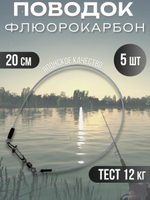 Поводки флюрокарбоновые для рыбалки 25 см, 10 кг, 10 шт