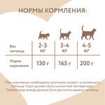 Влажный корм Мнямс Деликатес Лосось с яблоком для стерилизованных кошек "Паштет по-норвежски" 100 г