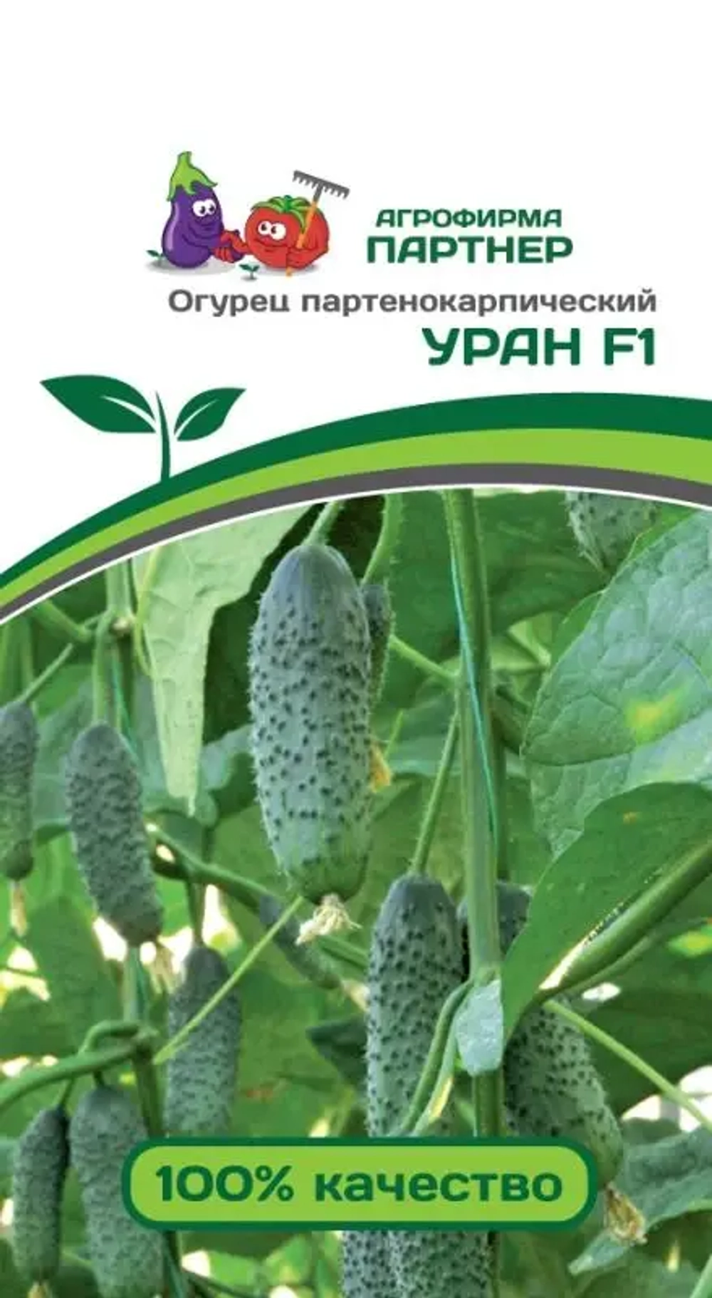 Огурец Уран