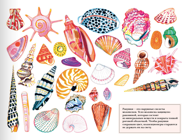 Сокровища коллекционеров