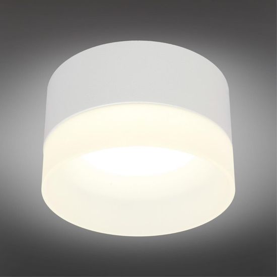 Светильник встраиваемый-накладной OML-103109-05