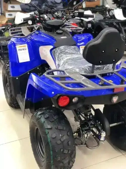 Квадроцикл MOTAX Grizlik 200 Ultra