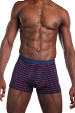 Трусы-боксеры из высококачественного хлопка (Размер: M) (Цвет: синий с голубым)