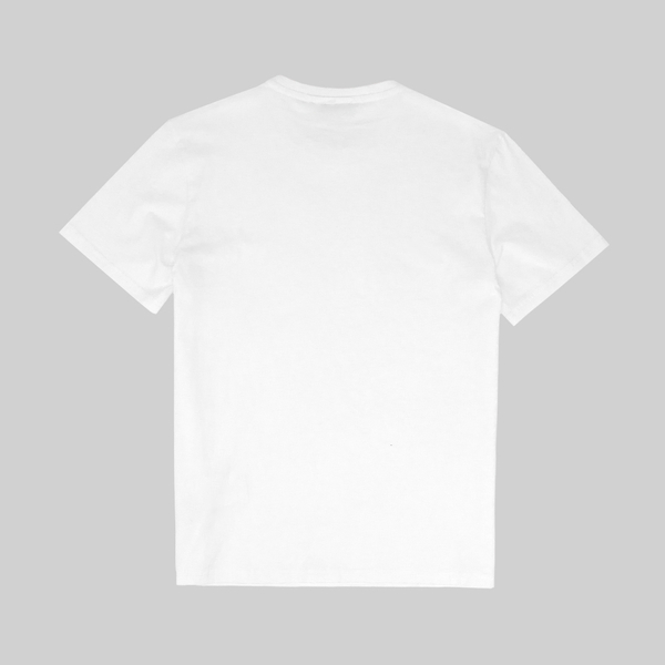 Футболка мужская Napapijri Salis Short Sleeve Sum артикул:NA4H8D002 - купить в магазине Дайс