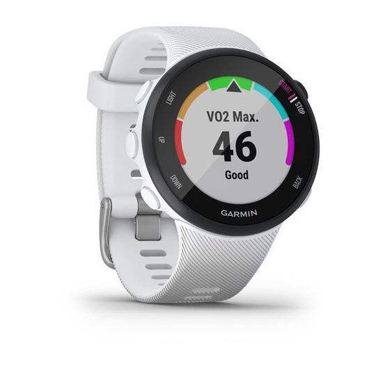 Беговые GPS часы Garmin Forerunner 45S (белые) 010-02156-10