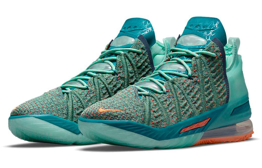 Кроссовки Nike Lebron 18 "We Are Family"