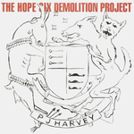 PJ Harvey / The Hope Six Demolition Project (LP)
