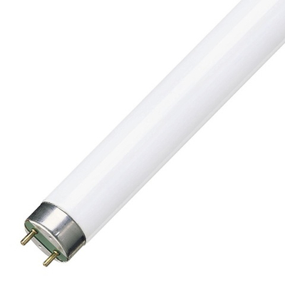 Люминесцентная линейная лампа T8 TL-D 18W/840 4000K SUPER 80 G13 590mm Philips 927920084055