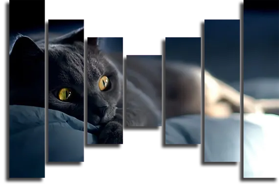 Модульная картина "Забавная кошка"